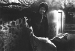 deleted scene <br>(if ever really put on film or just being rehearsed, remains unknown): <br>
Before Bruce Lee finally enters the ventiduct at night,
he takes a longer way <br>through the alleys of the premises of Han's island and knocks out another guard <br>(which would have made five guards to kill for Bolo the next morning!)