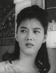 Ha Ping <br>One Queen and Three Kings (1963) 