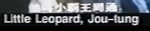 (for role-name verification)