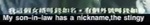 (for role-name verification)