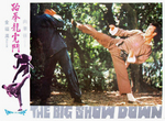 original lobby card