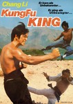 German movie poster