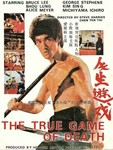 original movie poster (big image motif shows Bruce Lee in ENTER THE DRAGON)