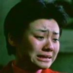 Liu Lin<br>Seventeen Years (1999) 