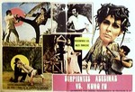 Poster for Manda (Snake Woman) vs Kung Fu (1974) released 4.26.1974