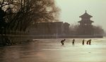  Sun Haiying<br>Sunflower (2005) 