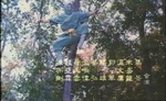 from the VCD