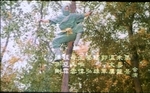 from the DVD