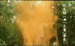 from the DVD