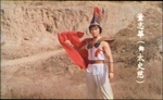 from the DVD