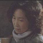 Dai Wenyan (Zhenzhen's mother)<br>Shanghai Dreams (2005)  