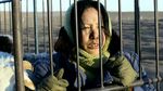 Jiang Wenli<br>And The Spring Comes (2008)