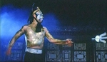 King Leopard