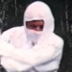 White ninja