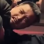 Master Chiu of Seven-Star Mantis