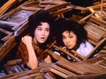 Julie Yeh Feng (L) as Bai Lihong and Maria Ye Kwong (R) as Lin Yanfei