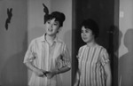 Ha Ping, Miu Man <br>
  Wife and Mistress in the Same House (1963)