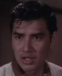 Cheung Ching<br>Charming Little Bird, The (1967) 