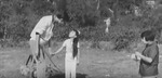 
  The Blossoming Rose (1968)