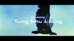 German credits
