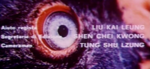 Italian credits