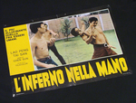 Italian lobby card (fotobusta)
