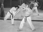 footage of a real life demonstration <br> with Tadashi Yamashita assisting Bob Wall
as shown on 16 mm to Bruce Lee in the movie