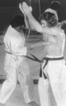 footage of a real life demonstration <br> with Tadashi Yamashita assisting Bob Wall
as shown on 16 mm to Bruce Lee in the movie