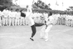 Yuen Wah as a stand-in for Bruce Lee who never did such feats