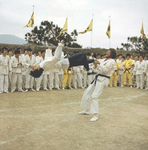 Yuen Wah as a stand-in for Bruce Lee who never did such feats