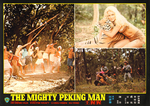 original lobby card (with Yuan Hsiang-Jen as the