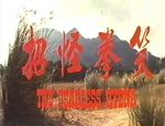 original Chinese credits / anamorphic; from the Hong Kong VHS release - The music playing during the credits is borrowed from the movie FOUL PLAY (1978) with Goldie Hawn!