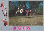 original lobby card
