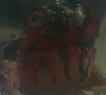 Blood Frog