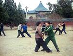 Feng Zhi Qiang (in green) showing the classic Tai Chi "Pushing Hands" exercise.