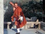 The Wu Tai fist shown by a monk.