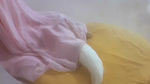 A tell-tale tail