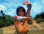 Stephen Tung Wai as Hsiao Tung, using the Lo Han Fist style