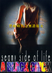 Tai Seng VHS cover