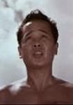 Golden Ring, The (1966)