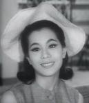 Lam Fung <br>Quarrelsome Lovers, The (1963)