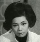 Lam Fung <br>Standard Husband (1965)