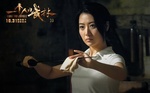 Kung Fu Jungle (2014)