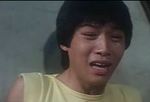 <br>The Happenings (1980) 